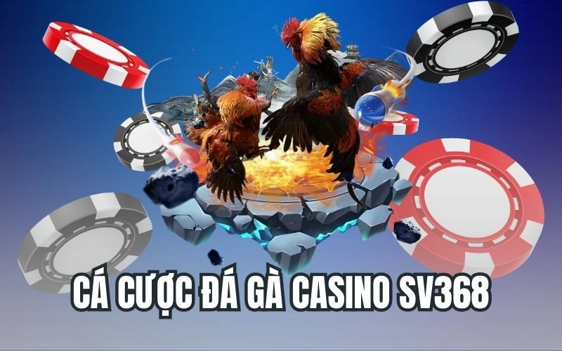 Cá Cược Đá Gà Casino SV368 - Trải Nghiệm Tuyệt Hảo Đỉnh Cao