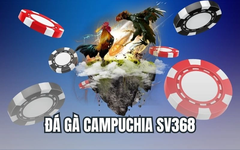 Đá Gà Campuchia SV368 – Sân Chơi Cá Cược Đỉnh Cao