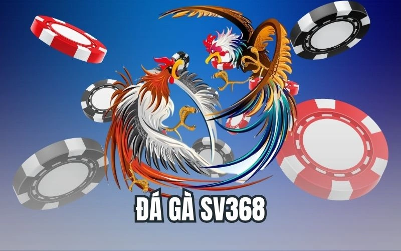 Đá Gà SV368 đầy hấp dẫn